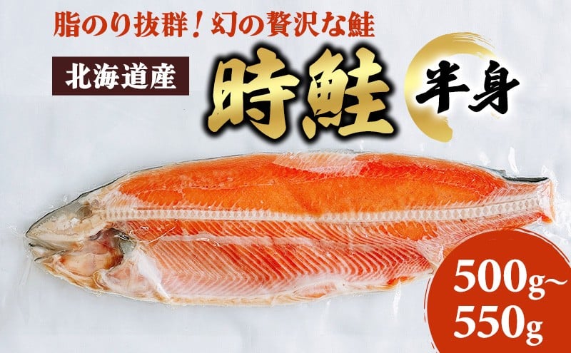 
                  北海道産 時鮭 半身 500g～550g 鮭 さけ シャケ 魚 甘塩 冷凍 半身加工 旬  [№5863-1153]
                