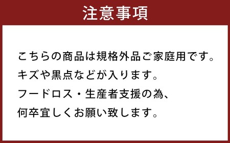 【規格外品】はるか ご家庭用 10kg サイズ不選別 サラダみかん 柑橘 ミカン 果物【2025年2月上旬～3月下旬発送予定】