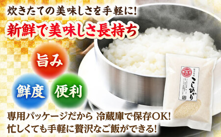 【令和7年産】無洗米 福井県産こしひかり 300g(約2合) × 10パック 計3kg  小浜市 / シマダ農園 [BFAV003] 