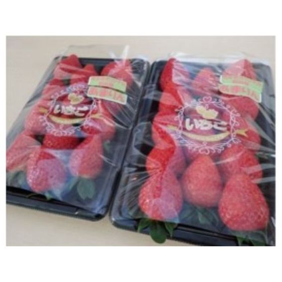 【ふるさと納税】あまりん、かおりん おまかせ2パックセット[52210515] 果物類 いちご 苺 イチゴ フルーツ 　お届け：2025年12月末より順次発送