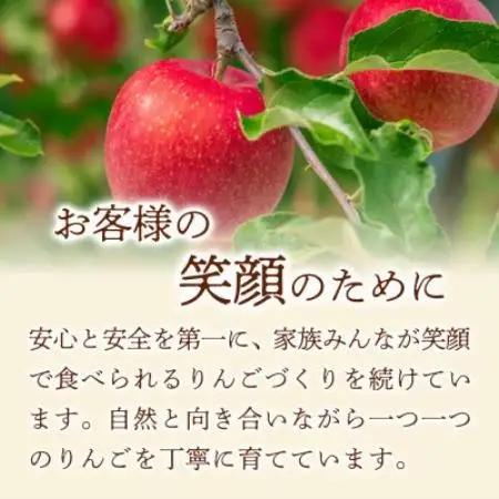 【甘みの強い黄色りんご】ぐんま名月 5kg 1セット【1779910】