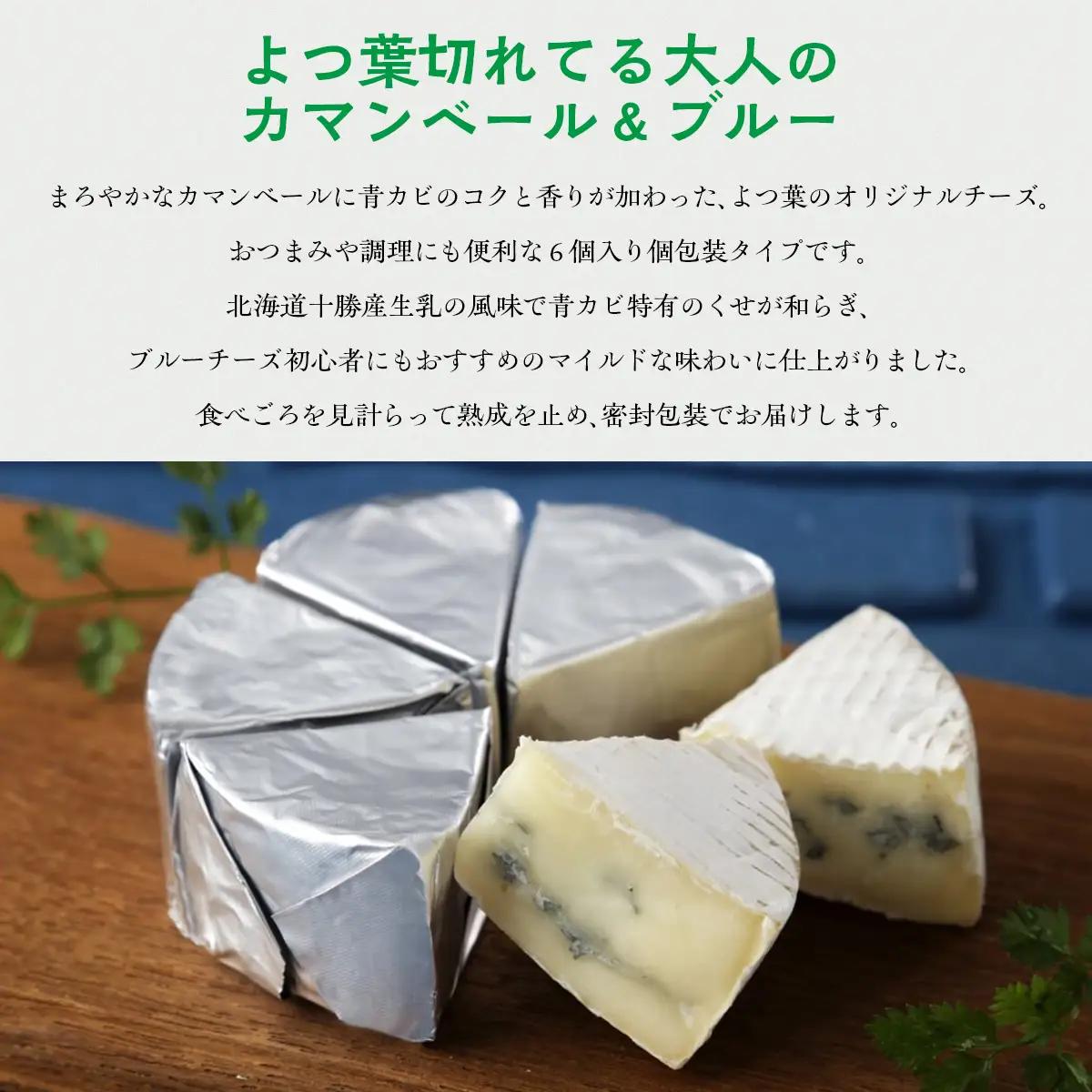 北海道十勝産 よつ葉切れてる大人のカマンベール＆ブルー6個 【 ギフト セット 北海道産 十勝  送料無料 】 SKA034