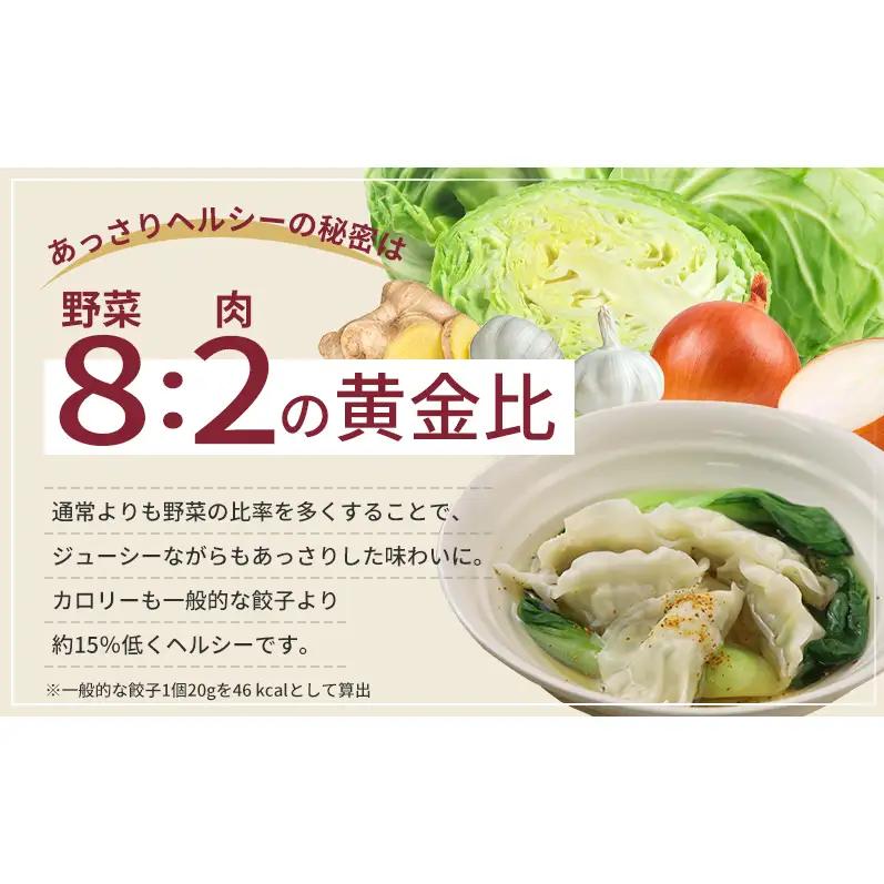【定期便6回】浜松餃子 80個 (20個×4袋) セット 詰め合わせ 餃子のたれ 小袋 知久屋 国産 ぎょうざ 餃子 ギョーザ 冷凍餃子 冷凍ギョーザ 工場直送 ヘルシー あっさり 惣菜 中華 点心 