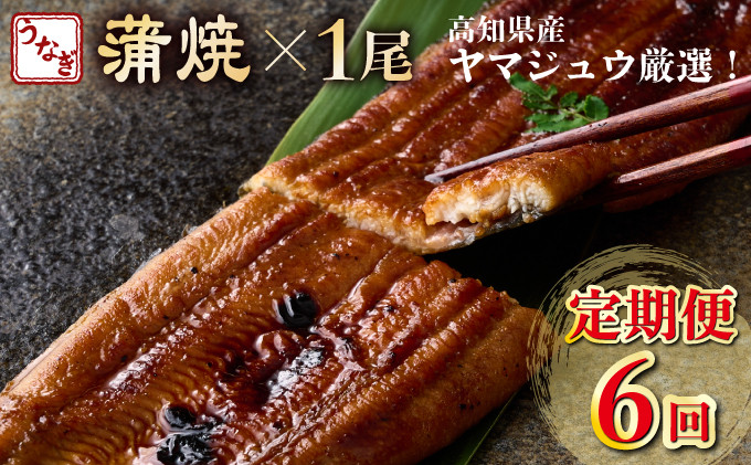 
            ヤマジュウ厳選！国産蒲焼き１尾【６回定期便】 頒布会
          