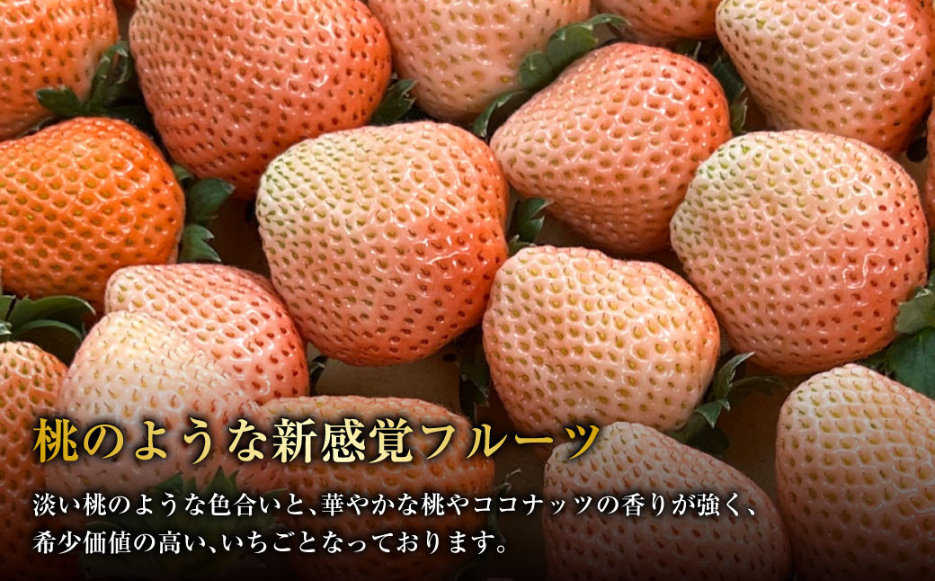 にべさんちの苺 熊本県産イチゴプレミアム桃薫(とうくん) 