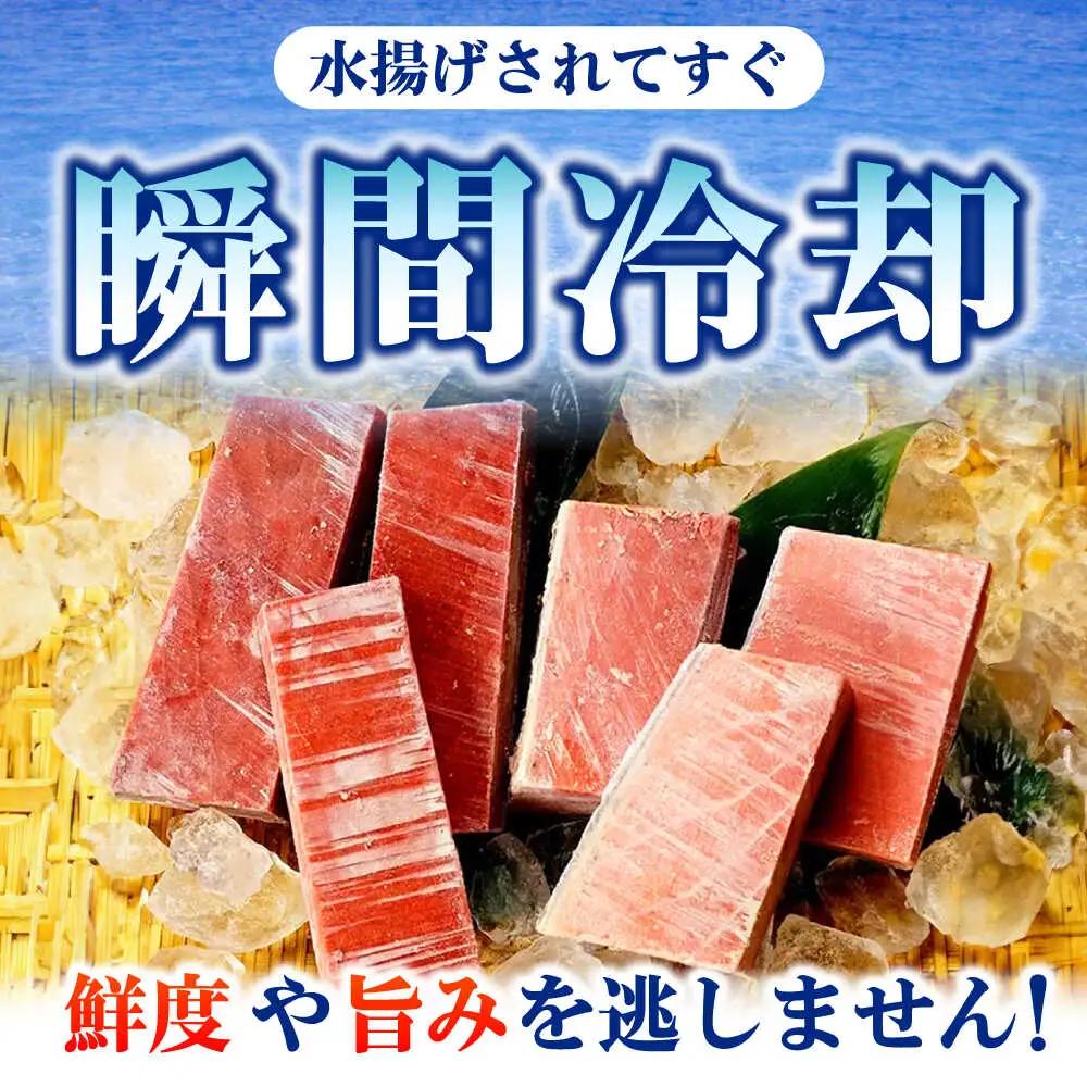 【全6回定期便】たね熟天然本まぐろ赤身＆中トロセット(320g 各160g)[AOCE041]マグロ