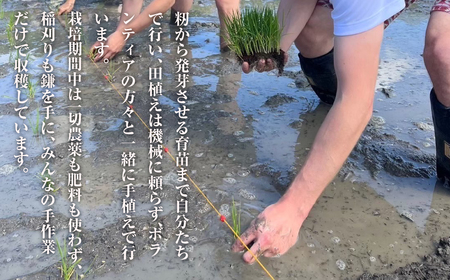 來子道米 ～きしどうまい～ 450g×3個 【栽培期間中、無農薬無肥料】 精米 白米