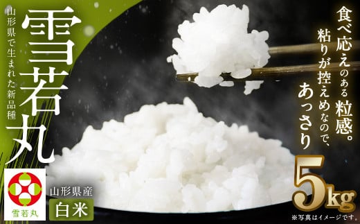 【令和7年産新米】〈白米〉 雪若丸 5kg ＜1回のお届け＞  山形県産 精米 【2025年11月上旬発送開始予定】