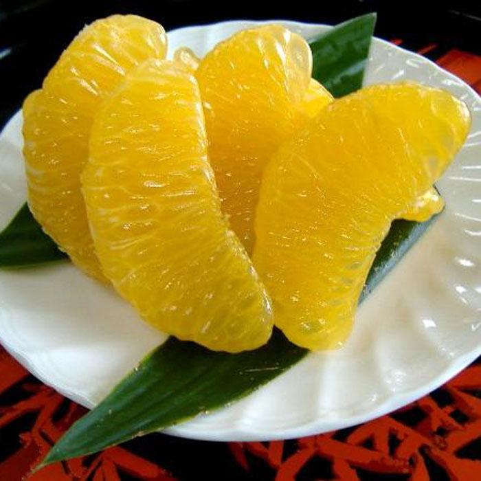 【ふるさと納税】和歌山由良町産さつきはっさく 約10kg 秀品 サイズおまかせ (Lまたは2L) いずれかお届け ［SL41］ | 和歌山 返礼品 八朔 果物 くだもの フルーツ 果実 旬の果物 旬のフルーツ 柑橘類 かんきつ類 柑橘 かんきつ 柑橘系 お取り寄せ 名産品