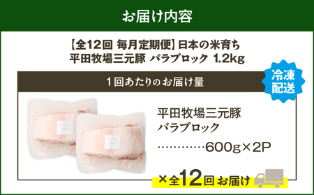 【 全12回 毎月 定期便 】 日本 の 米育ち 平田牧場 三元豚 バラ ブロック 1.2kg T036-T09-03 定期 肉 お肉 にく 豚 豚肉 ブタ ぶた 豚の角煮 角煮 焼豚 厚切りソテー 