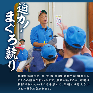 a24-038　焼津ミナミマグロBコース