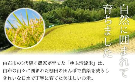 大分県産ひのひかり「ゆふ清流米」【5分つき】10kg