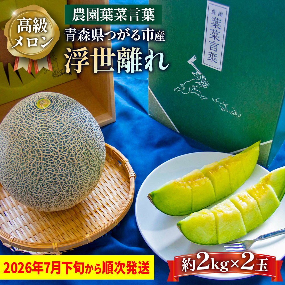 【ふるさと納税】高級 メロン『浮世離れ』2玉【2026年7月下旬から8月上旬まで順次発送】一度は食べてみたい！市場に出回らない｜青森県 青森産 津軽 つがる めろん メロン 果物 フルーツ 夏メロン 青森メロン [0892]