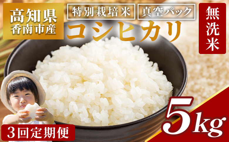 無洗米 定期便 【3回定期便】令和7年産 高知県香南市産 特別栽培米 コシヒカリ 5ｋｇ Wnu-0012