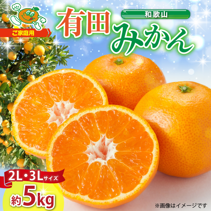【2026年先行予約】ご家庭用　和歌山有田みかん 約5kg (2L、3Lサイズいずれか)【湯浅町】_ZJ6084