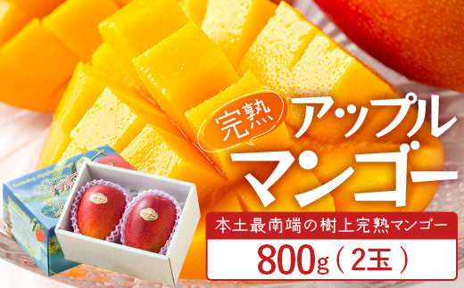 ≪先行予約・数量限定≫ ☆本土最南端☆佐多の果樹園で育てた 完熟アップルマンゴー 約800g ( 2玉 ) 【2026年7月上旬以降順次発送】 ST-406 ｜鹿児島県 南大隅 産地直送 旬 マンゴー
