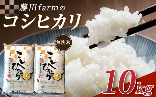 令和7年産 大田原市 藤田farmのコシヒカリ 【無洗米】 10kg ｜栃木県産 米 お米  コメ こしひかり コシヒカリ 栃木県 【選べる容量】5kg 10kg  数量限定