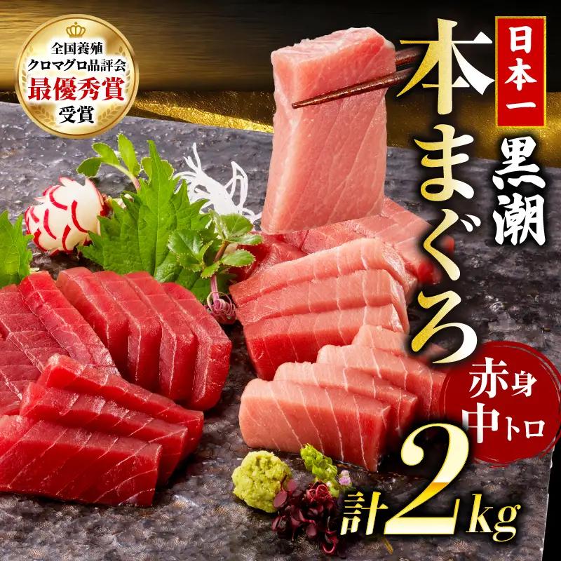 本マグロ 2種セット 中トロ 赤身 2kg マグロ