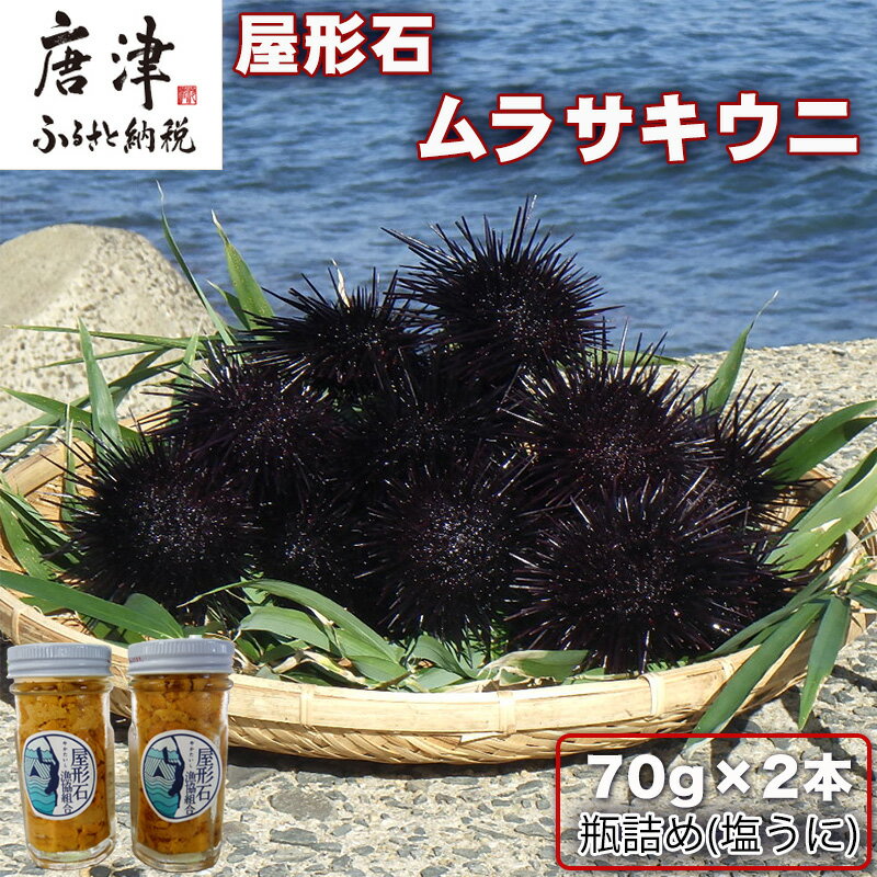【ふるさと納税】塩うに(ムラサキウニ)70g×2本 ミョウバン不使用 雲丹 海鮮 海産物 瓶詰め おつまみ おかず 酒の肴 ご飯のお供