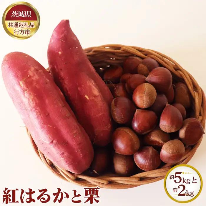 【先行予約】紅はるか 約5kgと栗 約2kg【茨城県共通返礼品 行方市】 No.634