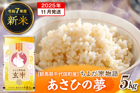 2025年11月発送【令和7年度産】群馬県千代田町産 あさひの夢 5kg×1袋 (玄米) 群馬県 千代田町
