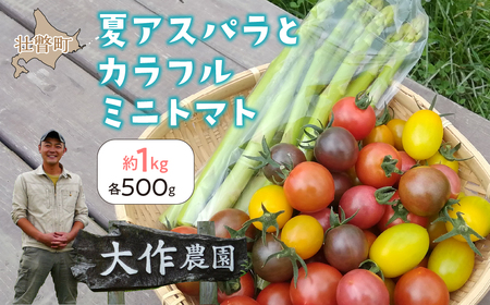 ＜2024年7月上旬よりお届け＞北海道壮瞥町産　大作農園「夏アスパラとカラフルミニトマト」のセット約1kg 先行予約【 ふるさと納税 人気 おすすめ ランキング アスパラ あすぱら トマト とまと ミニトマト 野菜 セット 北海道 壮瞥町 送料無料 】 SBTR004