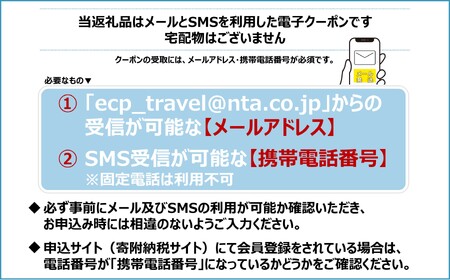 [栃木県日光市] 日本旅行 地域限定旅行クーポン 15万円分 (Eメール発行) [0702]