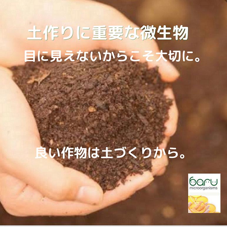 旬のフルーツ詰め合わせ シャインマスカット 梨 りんご 和梨 秋田県産 果物セット 旬の味覚 秋ギフト 贈答 ギフト 産地直送 皮ごと食べられる 種なし フルーツ ギフトセット 化粧箱入り 【BARU バイオジャパン吉村株式会社】[B7-99010]