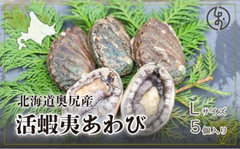 奥尻産活蝦夷アワビ（養殖）５個入り OKUF003