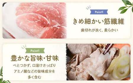 かごしま黒豚ロース肉しゃぶしゃぶ用 500g AS-165 株式会社薩摩八重ファーム