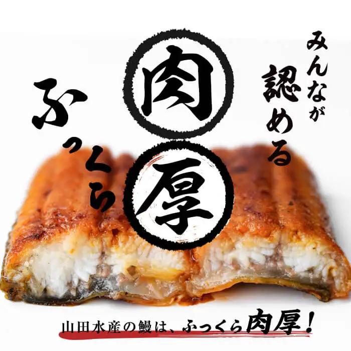 【ふるなびWEEK対象】国産 うなぎ 蒲焼 4尾 霧島湧水鰻の蒲焼き 140g以上×4尾＜計560g以上＞ うなぎ 鰻 ウナギ 国産 九州産 蒲焼き 【志布志市人気No.1お礼の品】 a5-385