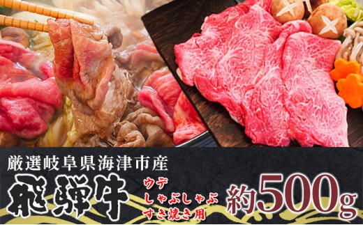
[№5533-0313]【飛騨牛】海津市産ウデしゃぶしゃぶすき焼き用スライス 【配達不可：離島】
