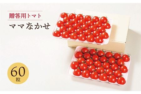 【先行予約】【贈答用トマト】ママなかせ 2kg 計60粒【2025年12月以降順次発送】《壱岐市》【壱岐の潮風】[JAE004] トマト ミディトマト フルティカ 野菜 ギフト ギフトボックス プレゼント 贈り物 化粧箱 21000 21000円 九州