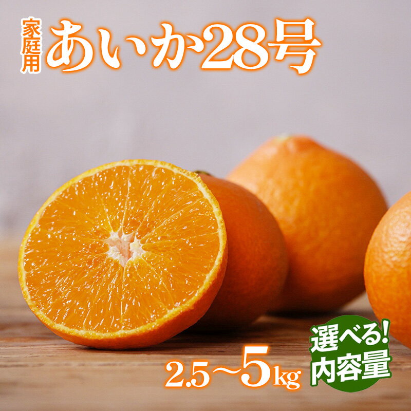 【ふるさと納税】 愛果28号（紅まどんな と同品種） 約2.5kg または 約5kg 【2025年12月から順次発送 】あいか 紅マドンナ まどんな マドンナ 家庭用 愛果 みかん 柑橘 蜜柑 フルーツ 松山市 愛媛県 数量限定