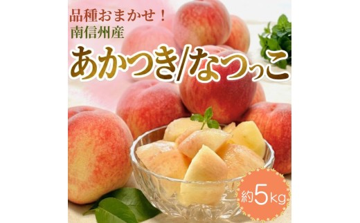 南信州産「桃」あかつき/なつっこ 約5kg 8～12玉 品種おまかせ＜2027年7月下旬より発送＞
