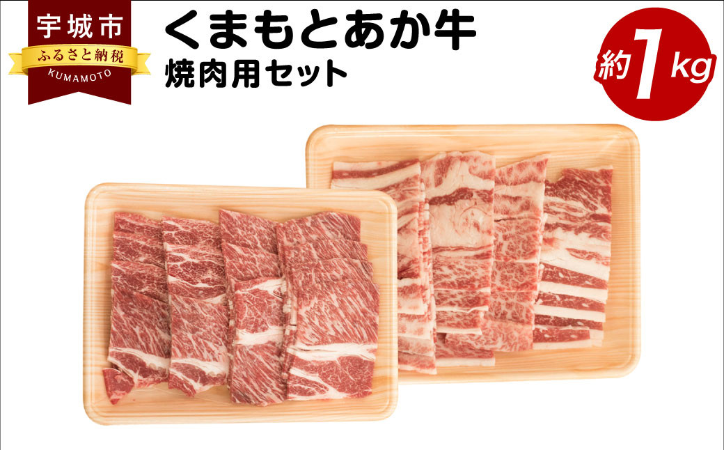 くまもとあか牛 焼肉用 セット 合計約1kg カルビ 肩ロース 和牛 牛肉