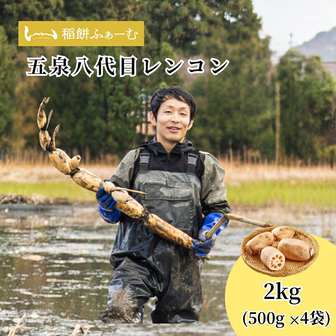 【ふるさと納税】 【先行予約品】五泉八代目レンコン 2kg(500g×4袋) | レンコン 蓮根 野菜 根菜 産地直送 国産 新潟県 五泉市 稲餅ふぁーむ