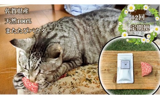 FB106  猫用☆天然100％ 無添加・無農薬またたびパウダー＆蹴りぐるみ1個【定期便12回】