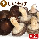 【ふるさと納税】生しいたけ ALサイズ 2kg 【10月～3月発送】 オンライン 申請 ふるさと納税 北海道 新十津川 北海道産 生 しいたけ シイタケ 椎茸 菌床しいたけ AL 大容量 高品質 厳選 新十津川町【12005】