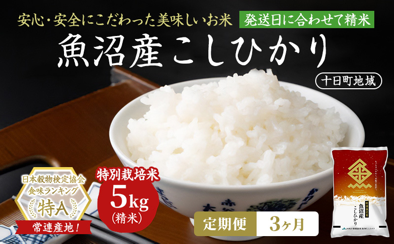 【令和8年産 先行予約】【3ヶ月定期便】特別栽培米 魚沼産こしひかり(十日町地域) 精米 5kg 米 お米 コシヒカリ 定期 十日町市