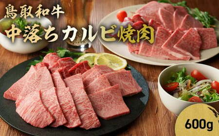 鳥取和牛 中落ちカルビ焼肉 （600g） 牛肉 和牛 鳥取和牛 ブランド和牛 焼肉 焼肉用 焼き肉 焼き肉用 和牛カルビ 中落ちカルビ 焼肉カルビ 黒毛和牛 KR1485