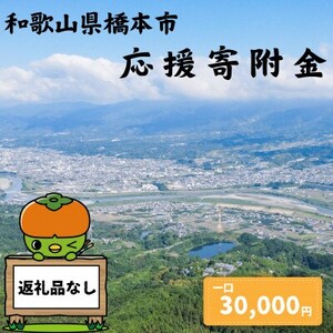 【返礼品なし】和歌山県橋本市への応援寄附金(30,000円分)