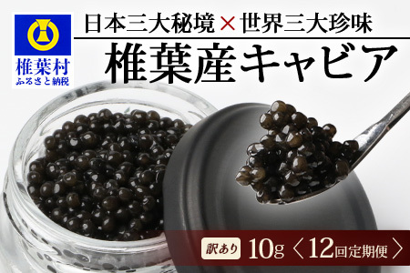 【12回定期便】【訳あり】HEIKE CAVIAR 10g × 12回 計120g 【世界三大珍味×日本三大秘境】 訳あり 宮崎 椎葉 国産 チョウザメ キャビア 定期便 魚卵 魚介 珍味 贈答 希少 SZ-116_12teiki