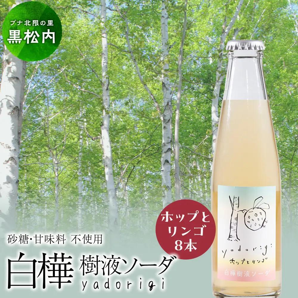 白樺樹液ソーダyadorigi（ホップとりんご）8個
