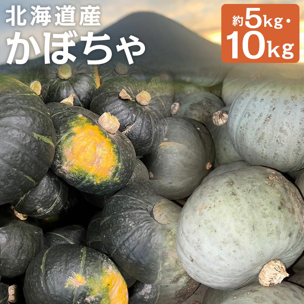 【ふるさと納税】＜選べる品種・内容量＞北海道産 かぼちゃ ブラックのジョー / 雪化粧 / セット 約5kg（2～5玉）×1箱 / 計約10kg（約5kg×2箱） 山田農場 カボチャ 南瓜 野菜 国産 北海道 京極町 送料無料 【2025年10月上旬～10月下旬迄発送予定】
