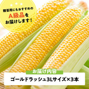 【令和8年発送】宮崎県産とうもろこし　スイートコーン「ゴールドラッシュ」3L×3本【新鮮 農家直送 トウモロコシ 産地直送 季節限定 期間限定 宮崎県産 九州産】