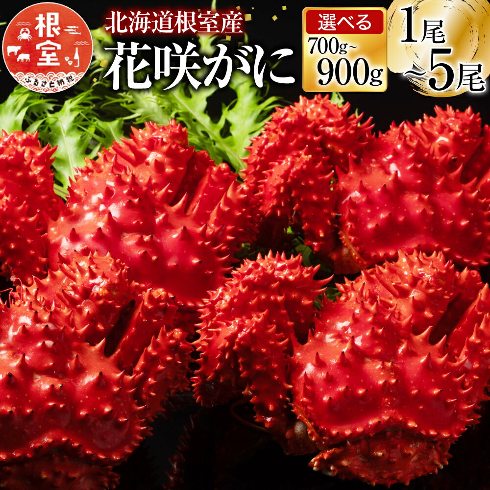 【ふるさと納税】＼年内配送間に合います！／ [北海道根室産] 花咲がに 選べる 1 尾 〜 5 尾 花咲ガニ 花咲蟹 かに カニ 蟹 海鮮 花咲ガニ 花咲 花咲かに お取り寄せ グルメ ボイル 茹で蟹 茹でがに 茹でガニ 塩茹で 塩ゆで 北海道 根室市 ふるさと納税