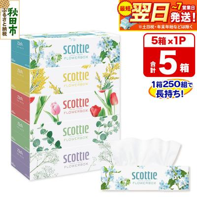 ふるさと納税 秋田市 ティッシュペーパー スコッティ フラワーボックス 250組 5箱×1|15_nsc-070101