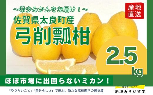 
                  【佐賀県太良産】山本農園『弓削瓢柑 2.5kg』（4月上旬～出荷予定）
                