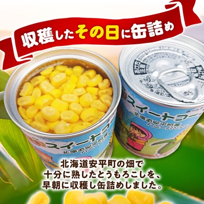 あびらのスイートコーン缶　24個入り　2025年収穫分【1031862】
